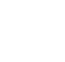 Bit Pulse Logo